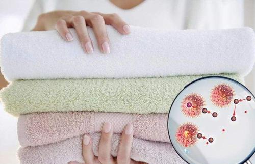 毛巾上的细菌包含哪些？